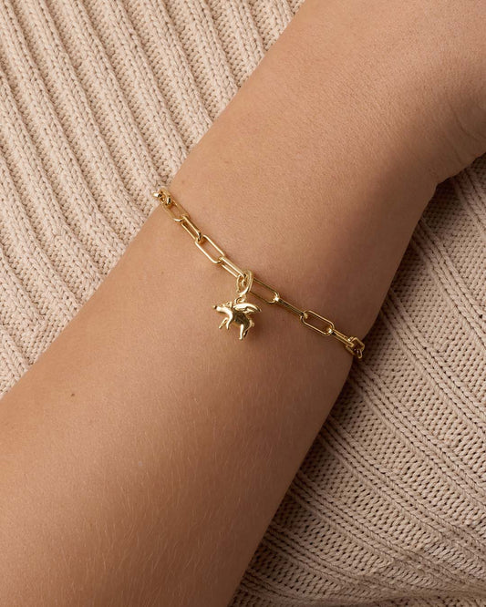 When Pigs Fly Parker Charm