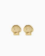 Shell Statement Studs || option::18K Gold Plated