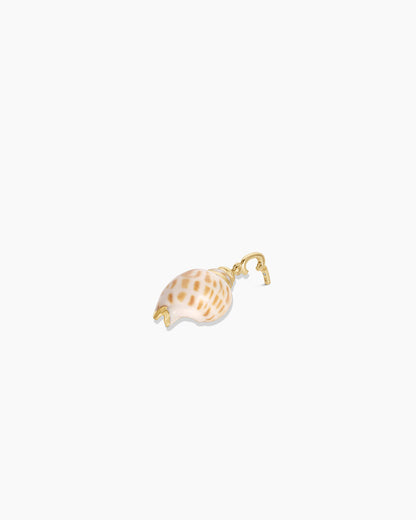 Tulip Shell Parker Charm || option::18K Gold Plated
