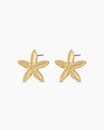 Starfish Statement Earrings || option::18K Gold Plated