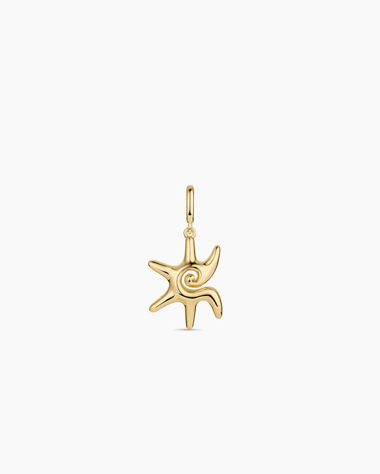 Sun Star Parker Charm || option::18K Gold Plated