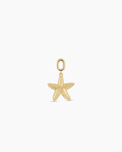 Starfish Statement Parker Charm || option::18K Gold Plated