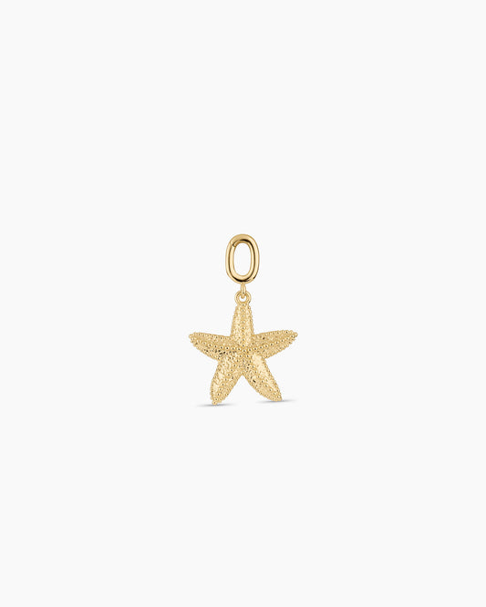 Starfish Statement Parker Charm || option::18K Gold Plated