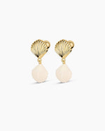 Scallop Earrings || option::18K Gold Plated